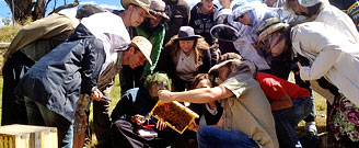 Natural Beekeeping Australia Courses - Warre Beehives